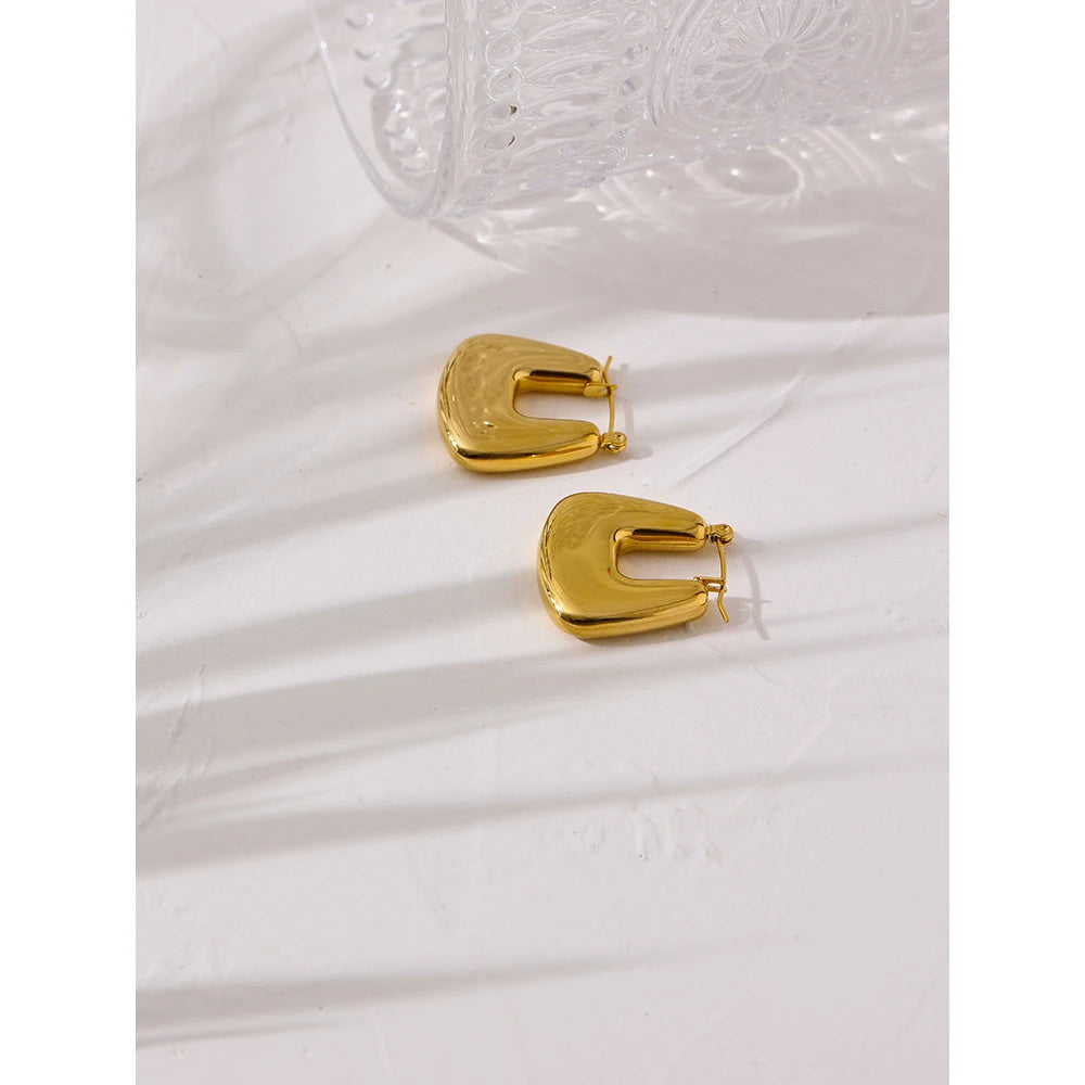 Chic Edge Earrings