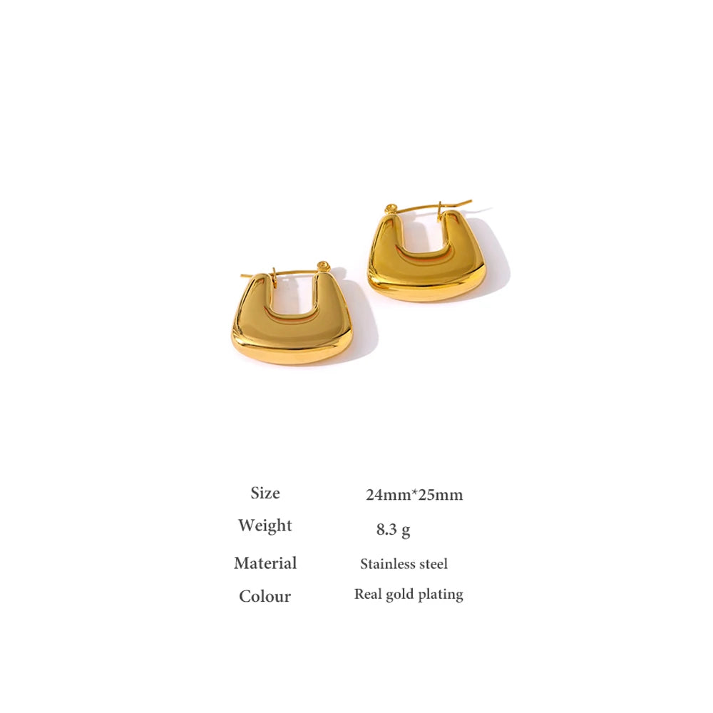 Chic Edge Earrings