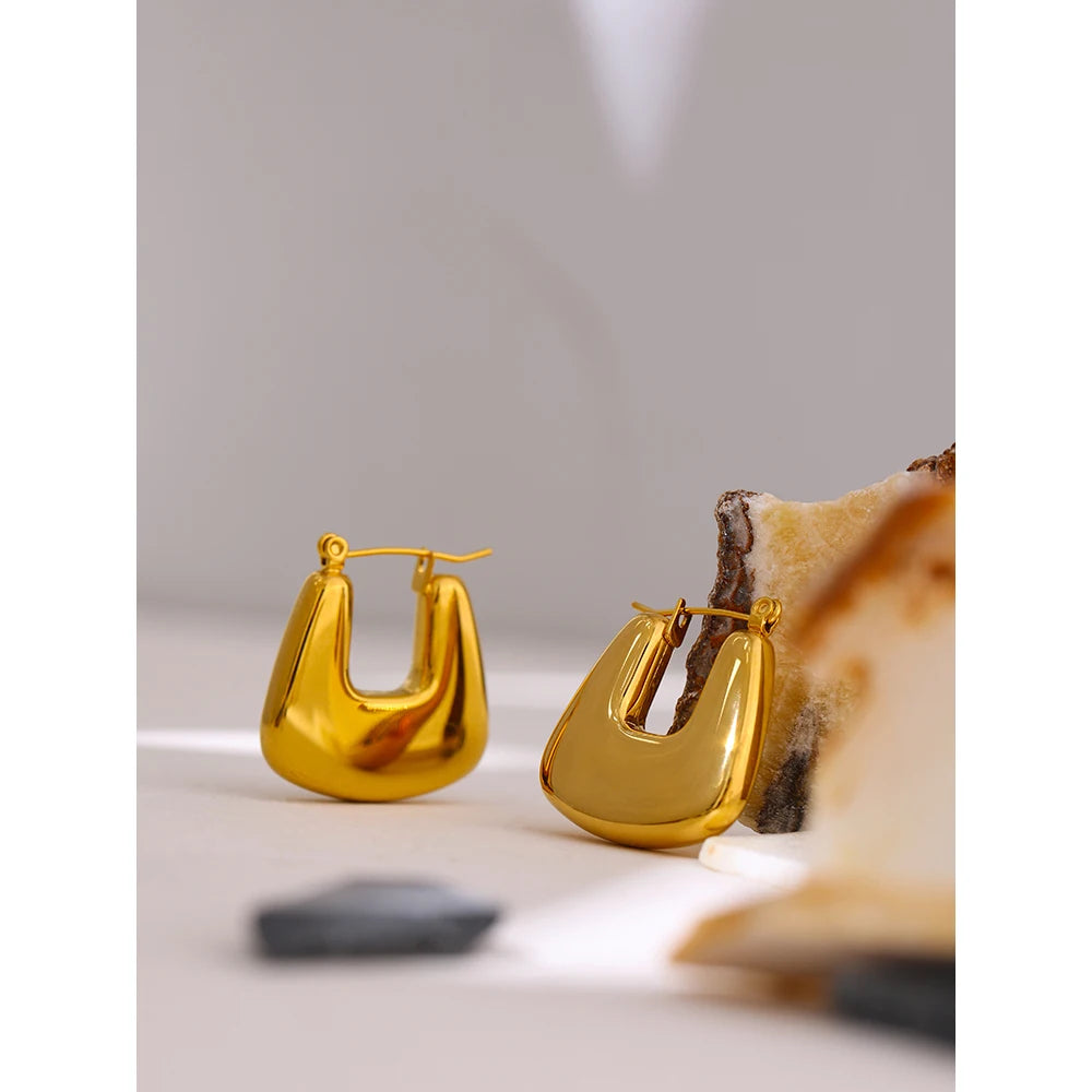 Chic Edge Earrings