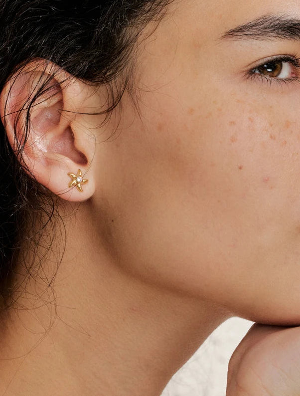 Twinkle Little Star Earrings