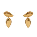 Chic Dewdrops